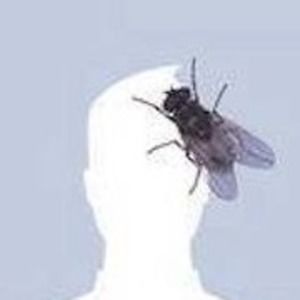 Meet your Posher, Ray